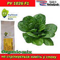 Насіння, Шпинат гібрид PV 1026 F1 (25 000 насіння), Pop Vriend Seeds (Нідерланди)