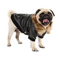 Одяг для домашніх тварин