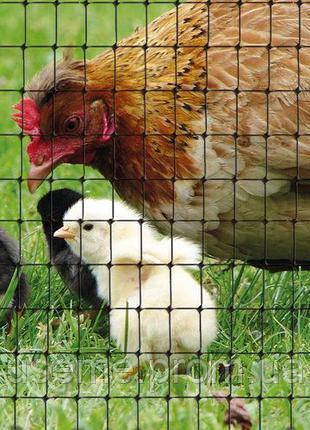 Купить Сетка пластиковая для ограждения птицы 1 х 100 м сетки садовые ...