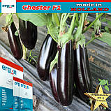 Баклажан ЧЕСТЕР F1, ТМ Ergon Seed (Нідерланди), паковання 500 насіння, фото 3