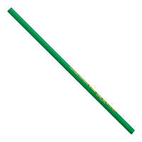 Олівець для каменю 12 шт. INTERTOOL KT-5002