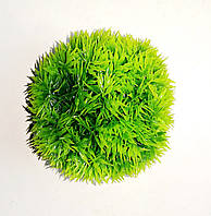 Растение Атман Шар - 9 см