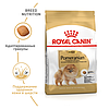 Royal Canin (Роял Канін) Pomeranian Adult – Сухий корм для дорослих собак породи померанський шпіц 500 гр, фото 3