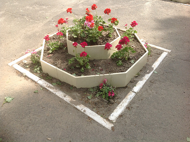 Клумба подвійна
