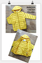 Куртки для хлопчиків оптом, розміри 134-164 см, Glo-story, Bma-2559