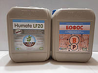 Бофос на Соняшник. Бофос на Ріпак. "Лайф Біохем", фото 8