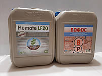 Бофос на Соняшник. Бофос на Ріпак. "Лайф Біохем", фото 9