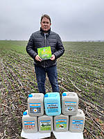 Гумат Старт на Соняшник. Стимулятор із амінокислотами (Гумат Старт)., фото 4