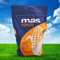 Посевная кукуруза Mas 48.L