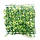 Рослина Атман, килимок 25*25 см, фото 2