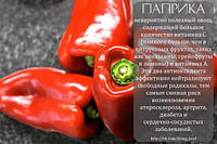У нас много новенького :)