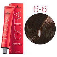 Фарба для волосся Schwarzkopf Igora Royal Chocolates 6-6 темно-русявий шоколадний