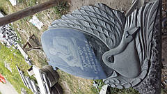 м. Дніпро "Лебідь 140*80*7" 4