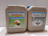 Олійний Турбо на Соняшник. Олійний турбо для Соняшнику. Мікродобриво для Соняшника. Норма 1,0 л/га, фото 3