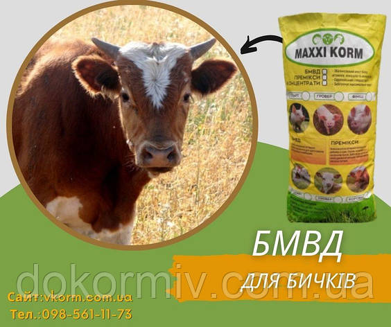 БМВД MAXXI KORM для бичків 25 % від 120 кг, фото 1