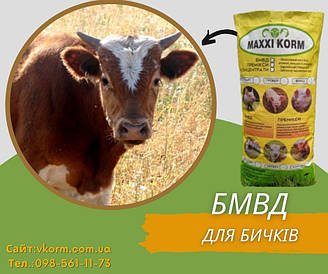 БМВД MAXXI KORM для бичків 25 % від 120 кг