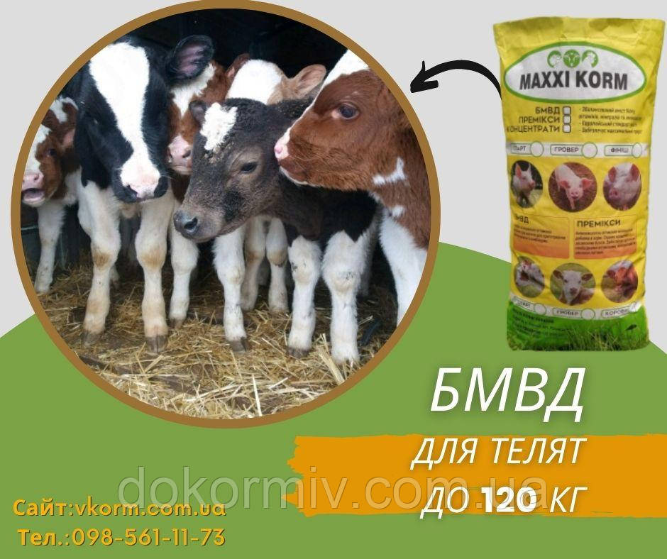 БМВД для телят 25% до 120 кг