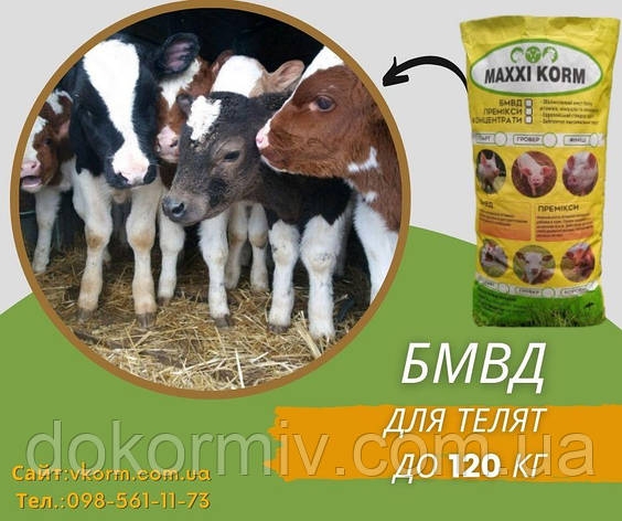 БМВД для телят 25% до 120 кг, фото 1