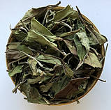 Білий чай Бай Му Дань Білий Піон 100 г, фото 2