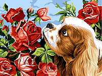 Раскраска по номерам DIY Babylon Кокер спаниэль и розы (VK106) 30 х 40 см