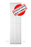 Дизайнерський радіатор Betatherm Praktikum 2, H-2000 мм, L-539 мм, фото 2