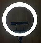 Кільцева світлодіодна LED лампа LS-450 45 см 3 кріплення + пульт | Лампа-кільце для фото, фото 8