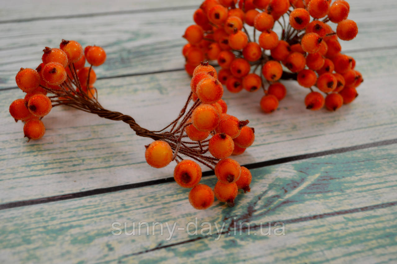 Калина сахарна 12мм пучок 18-20 гілочок колір - помаранчева, фото 1