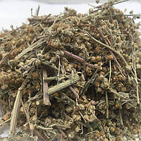 Полынь горькая (трава) 50 гр