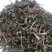 Чистец болотный (трава) 50 гр