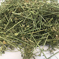 Пастушья сумка ( грицики трава ) 50 гр