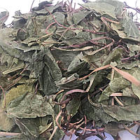 Грушанка (лист) 50 гр