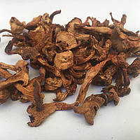 Лисички сушеные грибы 50 гр