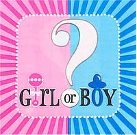 Салфетки двухслойные "Girl or Boy" Размер: 33см х 33см. В упак: 15шт.