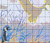 Набір для вишивання за нанесеною на канву схемою "The flying birds in" . AIDA 14CT printed, 61*48 см, фото 5