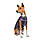 Жилет для собак Pet Fashion CALM XXS (PR242309), фото 3