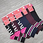 Шкарпетки жіночі демісезонні "RICH", середні, Добра Пара, лайкра, р. 23-25,темне асорті, 20019914, фото 2