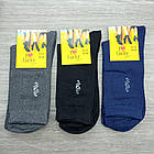 Шкарпетки чоловічі високі весна/осінь р.27-31 асорті ромби LUCKY SOCKS (2106) 30033278, фото 5