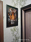 ЗПТ-015 Тигр, набір для вишивання бісером картини, фото 6