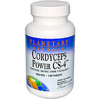 Кордицепс ( Cordyceps Power CS-4), 800 мг, 120 таб.