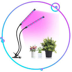 Сад/Город/Кімнатні рослини