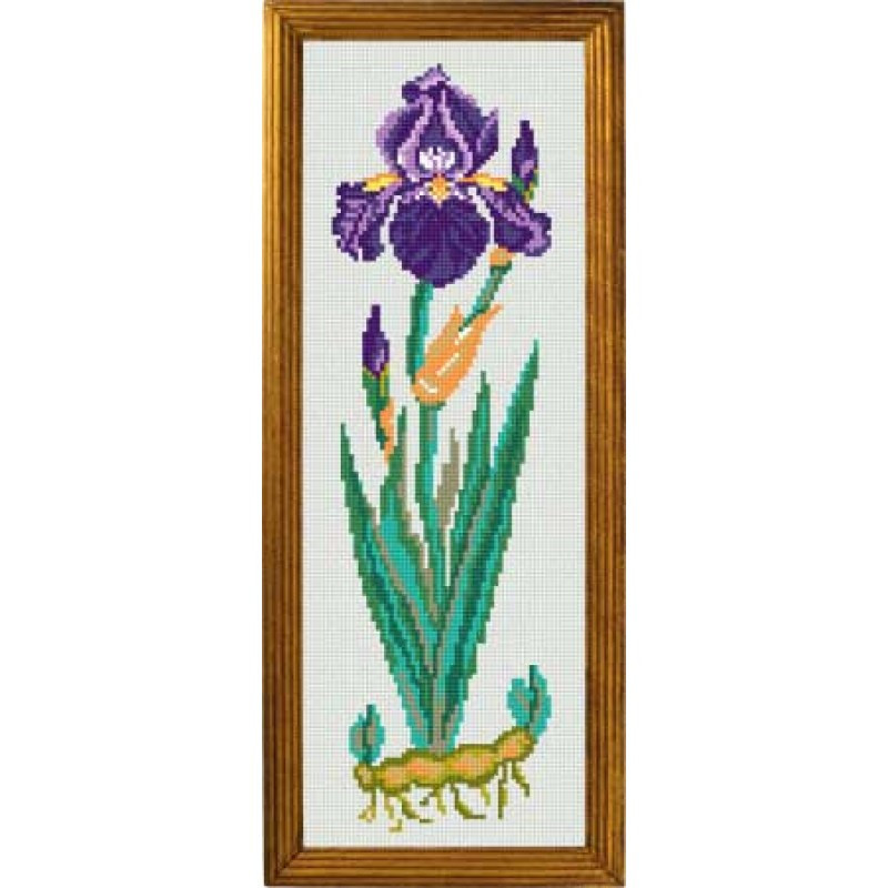 Схема на канве под вышивку нитками S-06. СИНИЙ ИРИС (ID#1539283844 ...