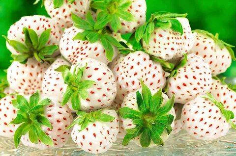 Ішінде спермы бар машинада орыс секс Менің әйелім аналық соратын үйден түскен фото