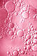 Двофазний ампульний тонер з екстрактом троянди Medi-Peel Rose Water Bio Ampoule Toner 500 мл, фото 4