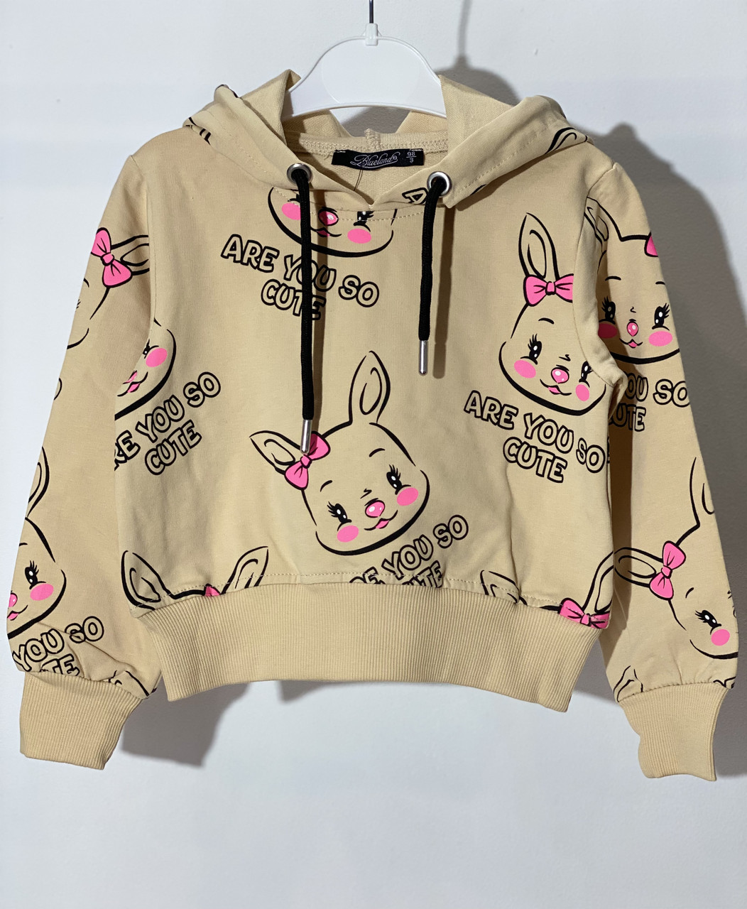 Худі для дівчинки Blueland 2908 104 см Бежевий