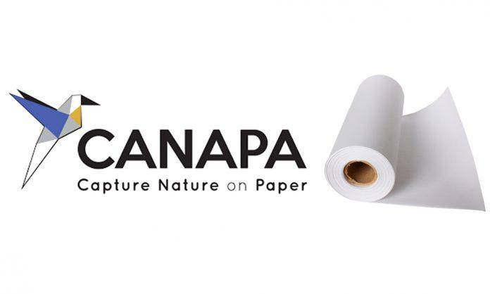 Canapa Ventus Medium Master 60, фото 2