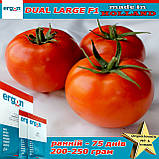 Насіння, томат ранній ДУАЛ ЛАРДЖ F1 / DUAL LARGE F1 ТМ ERGON SEED (Нідерланди), паковання 500 насіння, фото 2