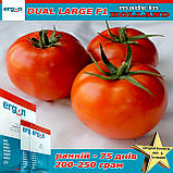 Насіння, томат ранній ДУАЛ ЛАРДЖ F1 / DUAL LARGE F1 ТМ ERGON SEED (Нідерланди), паковання 500 насіння, фото 3