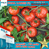 Насіння, томат ранній ДУАЛ ЛАРДЖ F1 / DUAL LARGE F1 ТМ ERGON SEED (Нідерланди), паковання 500 насіння, фото 3