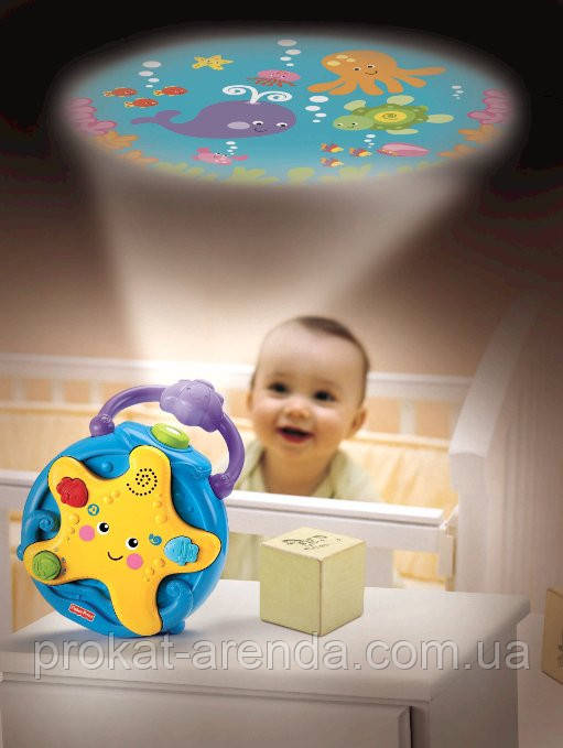 Fisher hotsell price starfish