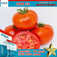 Насіння, томат ранній Джем F1 / Jam F1, ТМ ERGON SEED (Нідерланди)